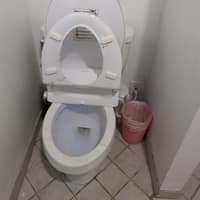 Seats up -- poops out